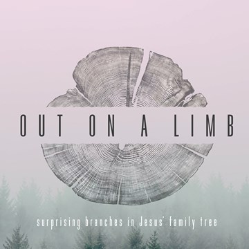 Out on a Limb